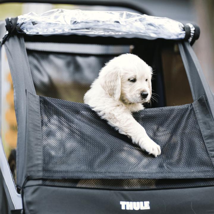 Produktbild Thule Courier (Kid+Cargo)