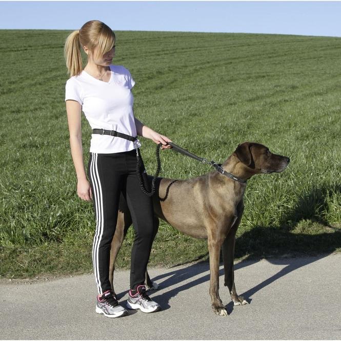Produktbild Kerbl Active (Hund)
