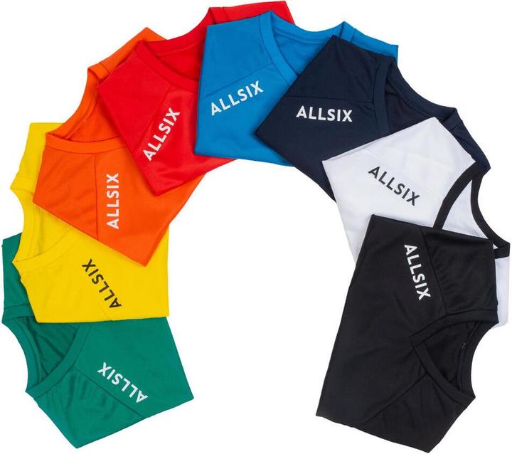 Actual product image Allsix vts100 309567