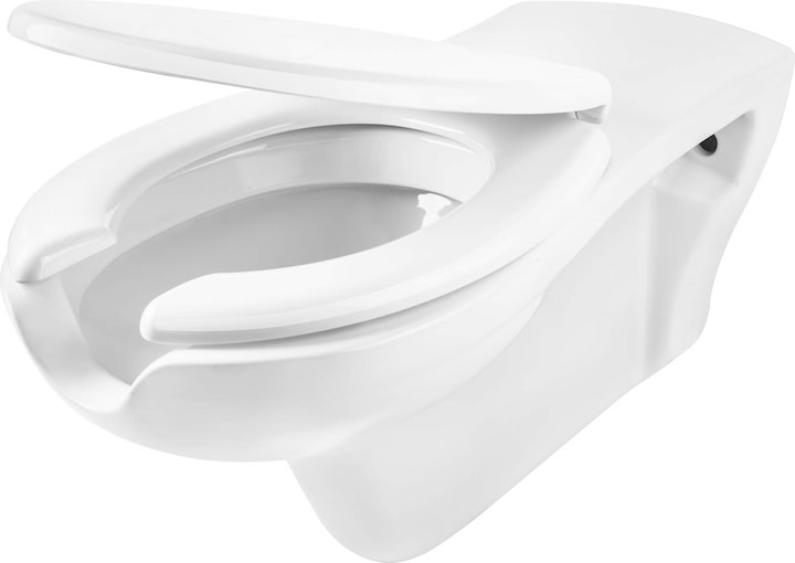 Deante Toilet bowl with seat for people with reduced mobility (Lavatory)