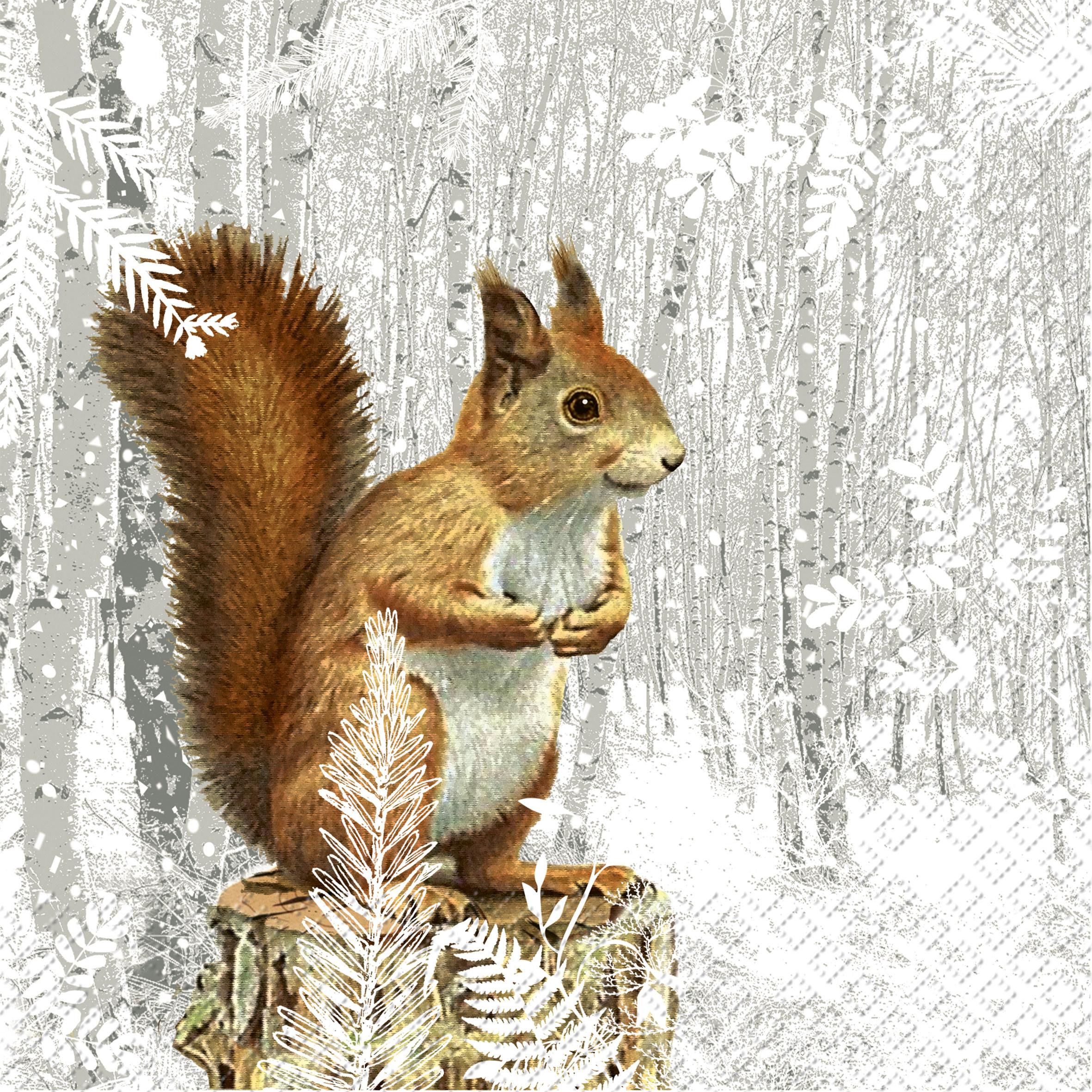 Stewo, Servietten, Servietten (20 x, 33 x 33 cm)