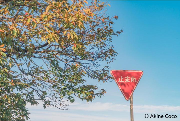 Actual product image Kenko Nostaltone Orange Anime (62 mm, Effect filter)