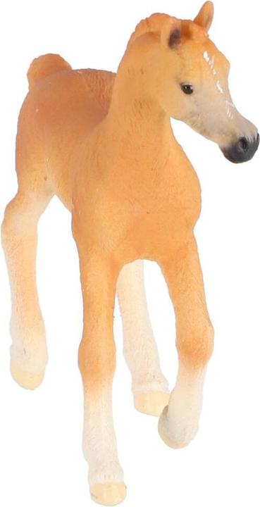 Actual product image Schleich Arabian foal