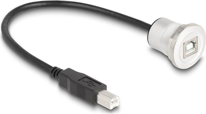 Produktbild Delock USB 2.0 Typ-B Einbaubuchse mit Kabelpeitsche Stecker (0.30 m, USB 2.0)