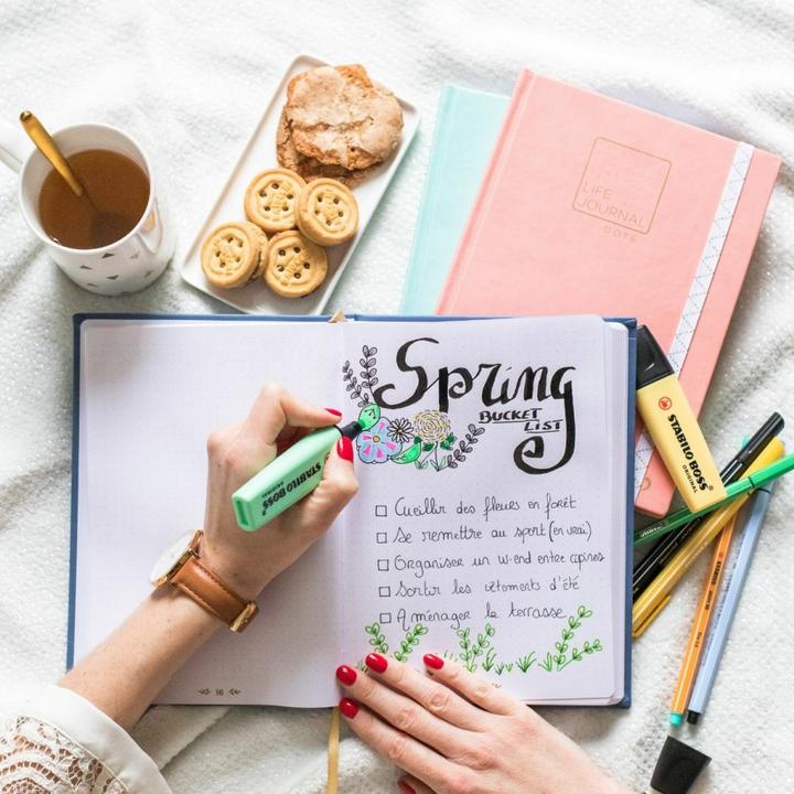 Actual product image Quo Vadis Notebook Life Journal 21 Dot (15 x 21 cm, Dotted, Hardcover)