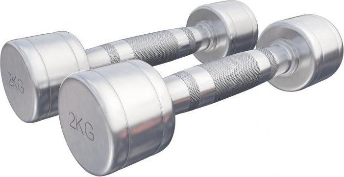 Actual product image Gorilla Sports Chrome dumbbells (2 x 2 kg)