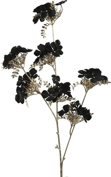 Actual product image Countryfield Decostar decorative branch Hydrangea S black 84cm (84 cm)