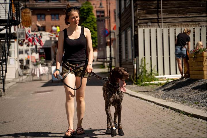 Image du produit Non-Stop Dogwear Protector (M, Chaussures pour chien)