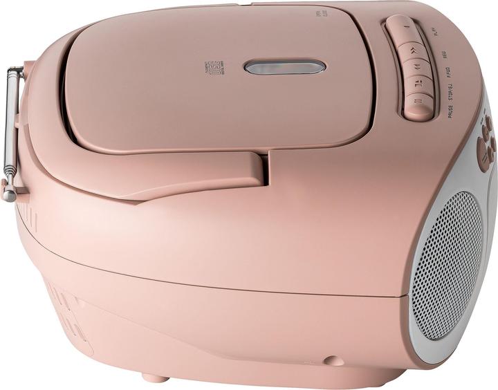 Produktbild Reflexion RCR2260 (FM, PLL)
