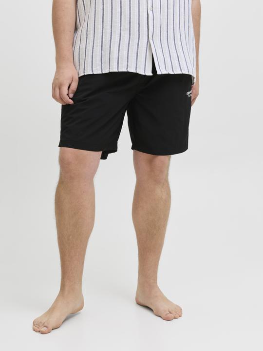Actual product image Jack & Jones Jpstnaxos Jjswim Shorts Vesterbro Sn Pls (46)