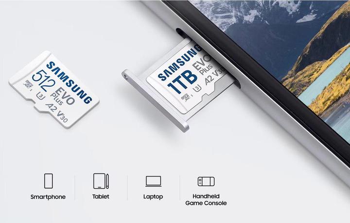 Produktbild Samsung EVO Plus (256 GB, microSDXC, U3, UHS-I)
