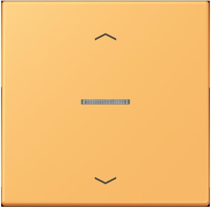 Actual product image JUNG Rocker