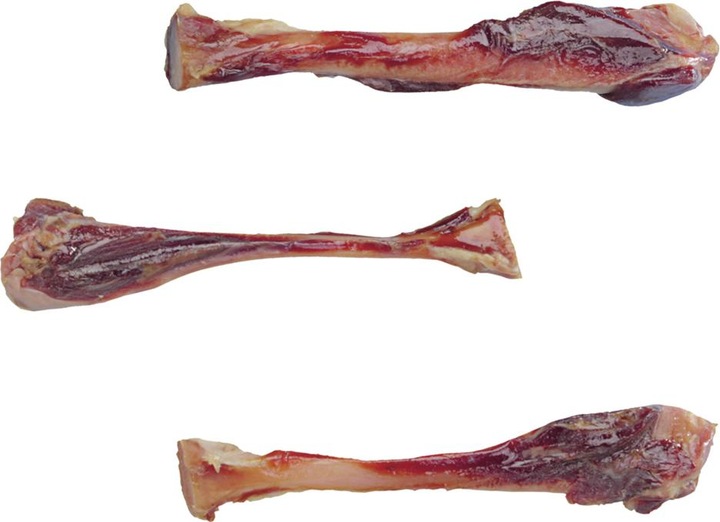 Produktbild Nobby Italienischer Schinkenknochen (3 Stk., 120 g)