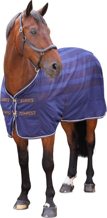 Produktbild Tempest Original Gittergewebe Pferde Cooler Weidedecke (175.26 cm)