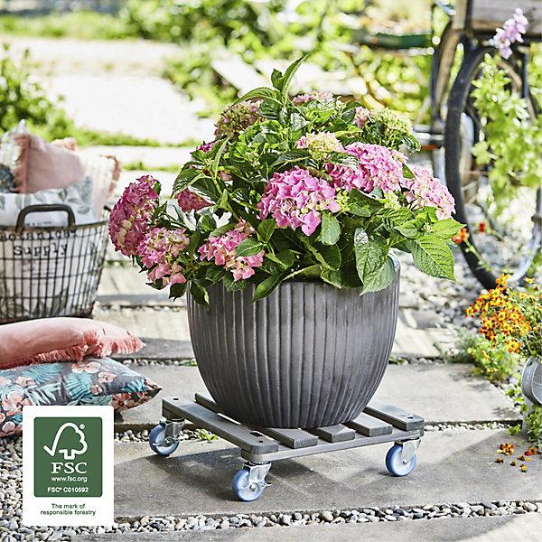 Produktbild Wagner System Pflanzenroller