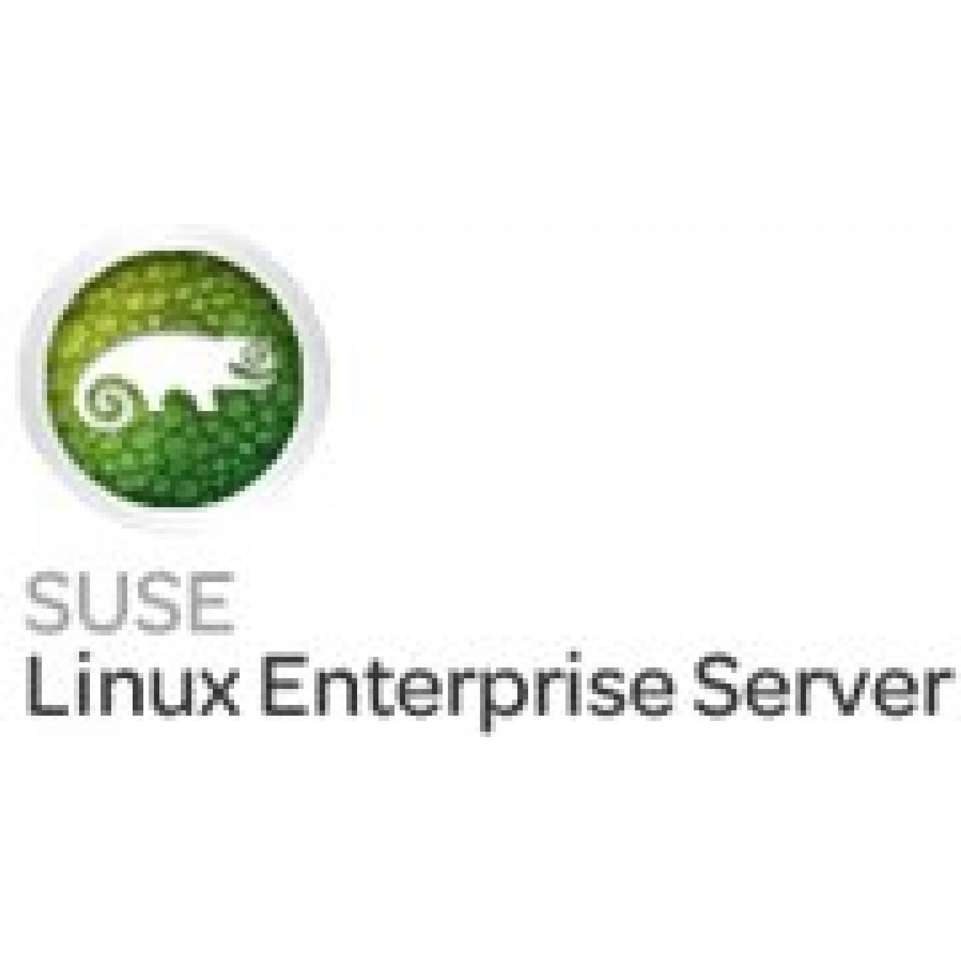 HPE SuSE Linux Enterprise Server Flexible License - Abonnement (1 Jahr) für