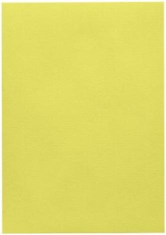 Artoz 1001 A4 220g limette 5 Kartons (220 g/m², 5 x)