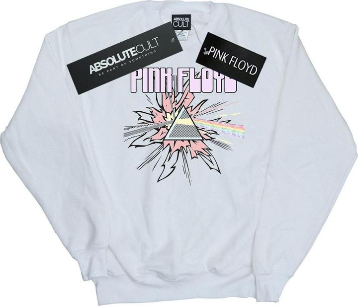 Immagine prodotto Pink Floyd Pastel Triangle Felpa Uomo (S)
