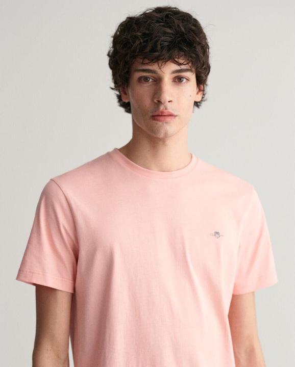 Actual product image GANT t-hirt reg hield (S)