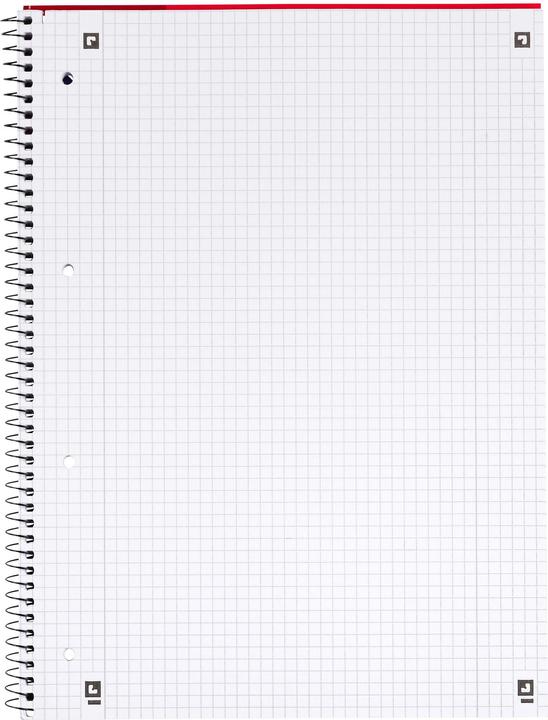 Actual product image Oxford SCHOOL - college notebook (A4, Checked, Soft cover)