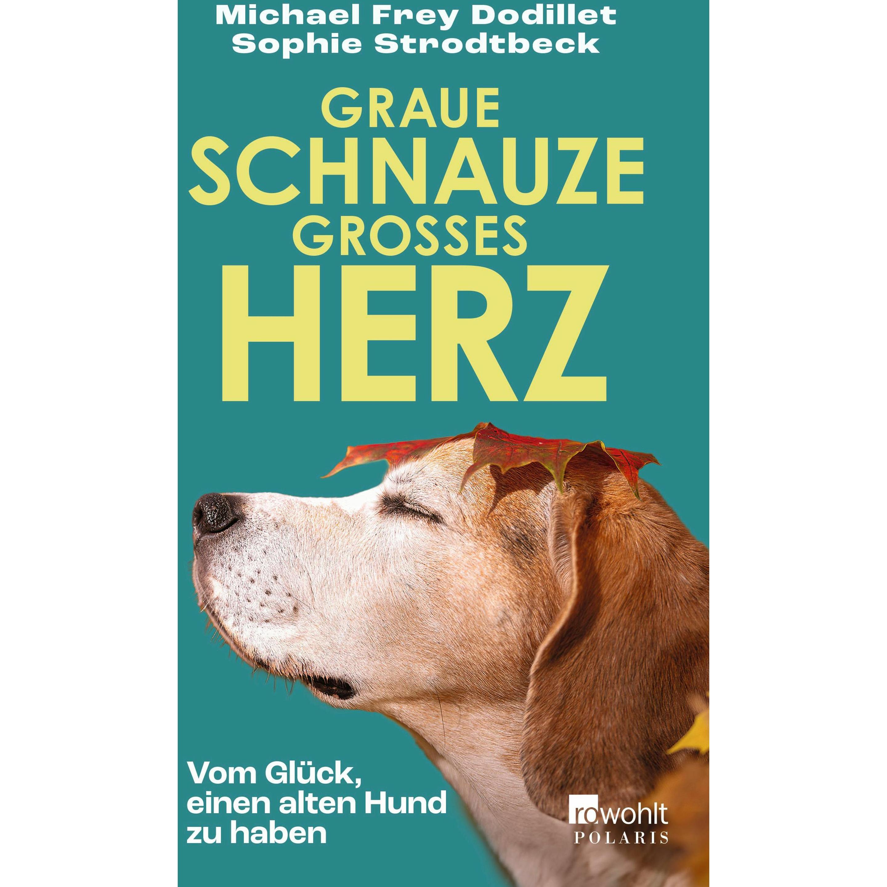 Graue Schnauze, grosses Herz, Fachbücher von Sophie Strodtbeck, Michael Frey Dodillet