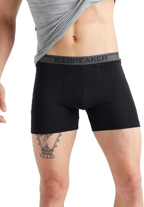 Actual product image Icebreaker Anatomica (L)