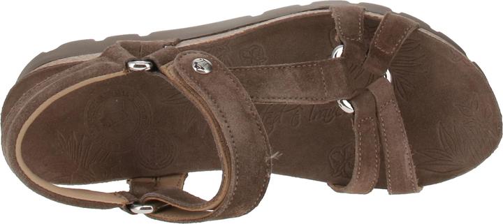 Produktbild Panama Jack Sally B7 (36)