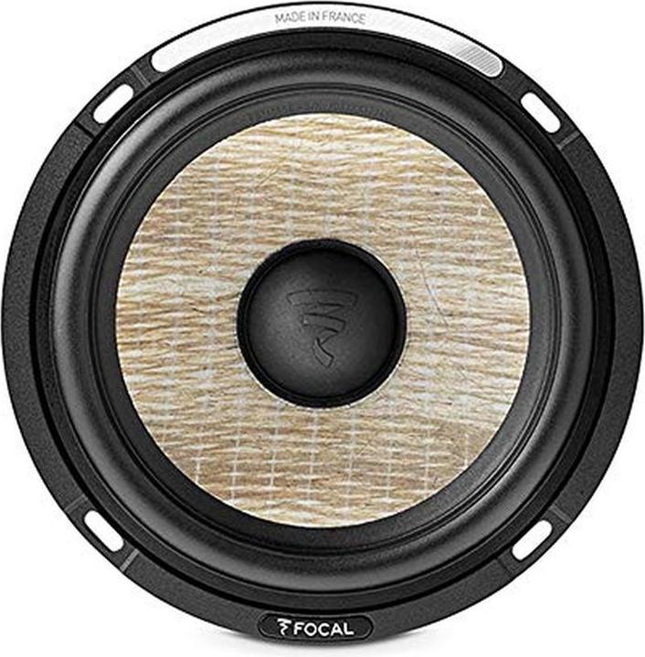 Actual product image Focal PS 165 FSE (120 W, 16.50 cm, 6 x 8")