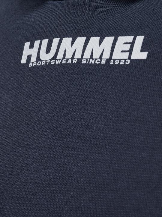 Produktbild hummel Legacy Hoodie (L)