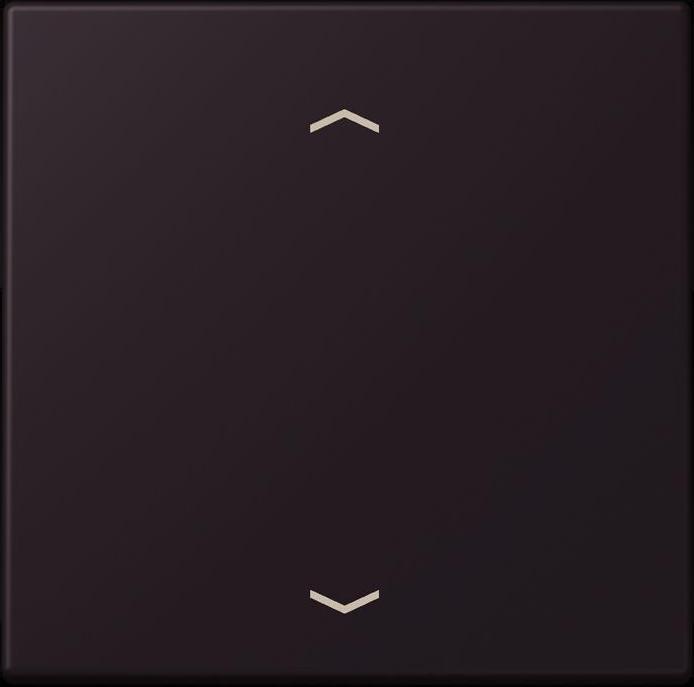 Actual product image JUNG Control button