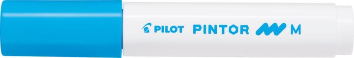 Produktbild Pilot Pintor Medium