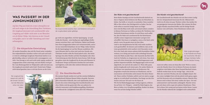 Produktbild Welpen-Erziehung (Deutsch, Katharina Schlegl-Kofler, 2025)