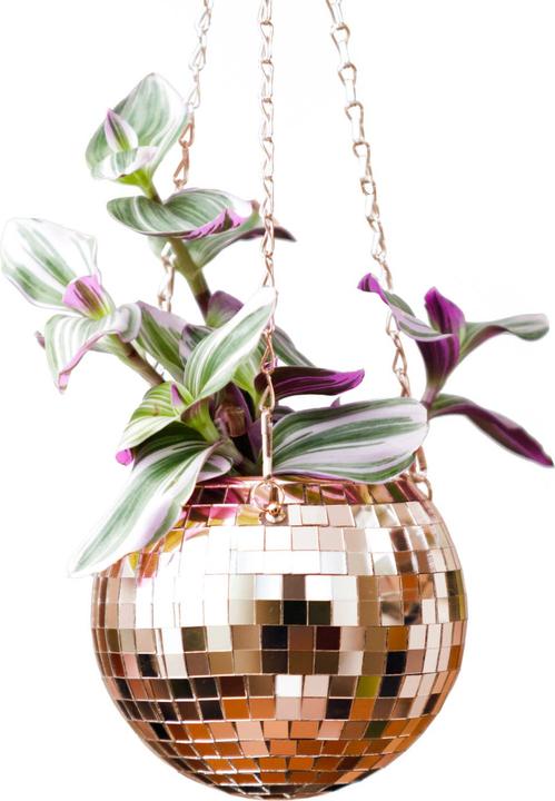 Produktbild Bubblegum Discokugel Pflanzentopf zum aufhängen Rosegold (17 cm)