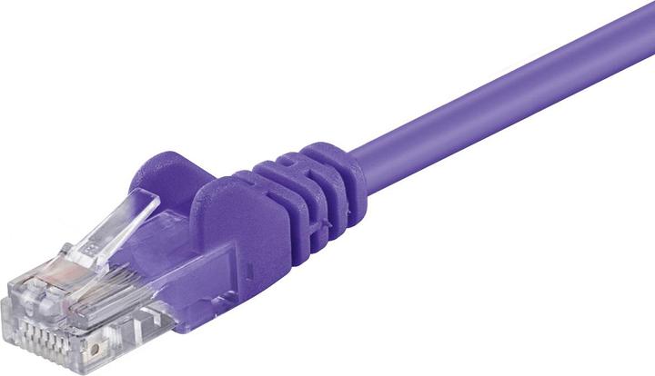 Actual product image Shiverpeaks ®-BASIC-S--Patch cable cat. 5e SF/UTP violet 5m (SF/UTP, CAT5e, 5 m)