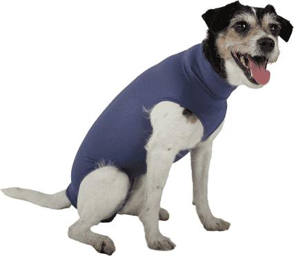 Image du produit Vetmedcare Body Dog Chienne Body Basic