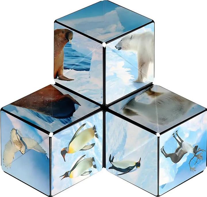 Produktbild Shashibo Cube Arctic (1 Spieler)