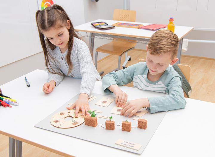 Produktbild Betzold Lebenszyklen-Set
