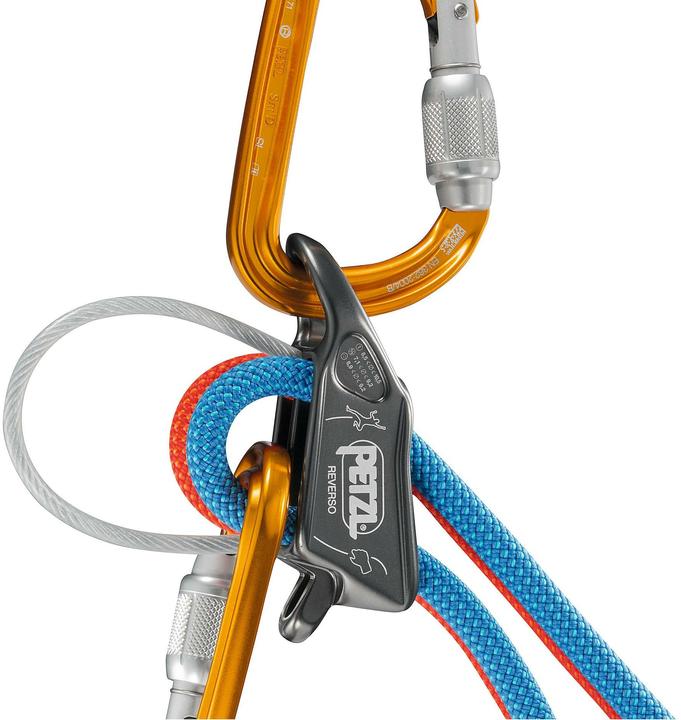 Actual product image Petzl Reverso