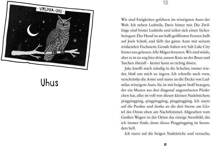 Produktbild Komische Vögel – 2.500 Meilen Familie, Chaos und jede Menge Chicken Nuggets (Deutsch, Julie Mclaughlin, Sally J. Pla, Susanne Hornfeck, 2023)