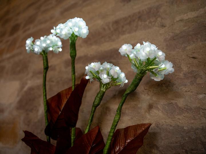 Actual product image Europalms Hydrangea, white with flowers, 100 LEDs