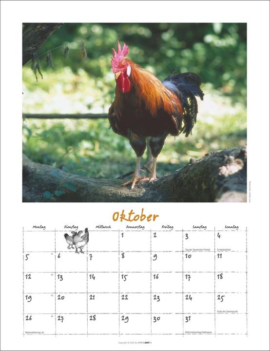 Produktbild Der Hühnerkalender 2026 (30 x 39 cm)