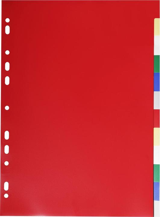Produktbild Exacompta Register A4teilig PP Farben sortiert