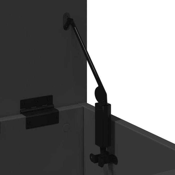 Actual product image vidaXL Truhe (35 cm, 1x)