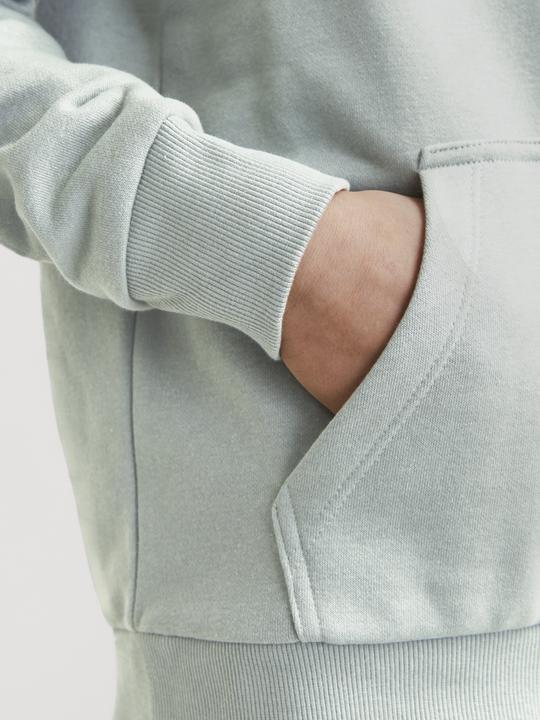 Image du produit Jack & Jones Jjecaleb Varsity Sweat Hood Noos Jnr (164)