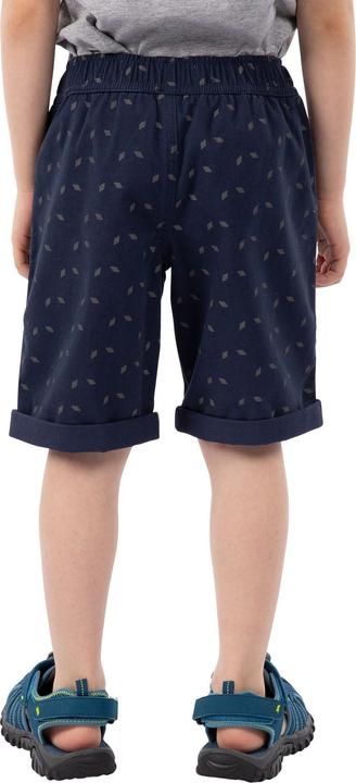 Actual product image Trespass Boys Publish Casual Shorts (140)
