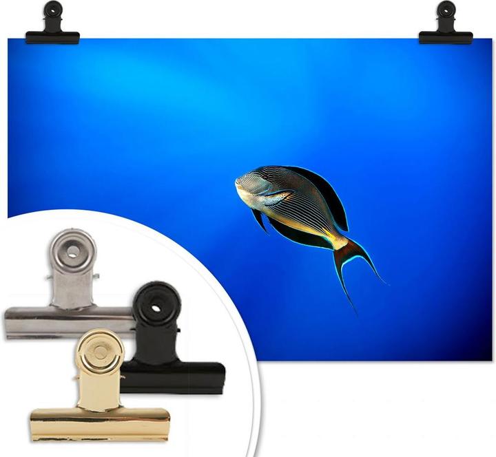 Produktbild Trenddeko Catta - Deep Ocean (45 x 30 cm)