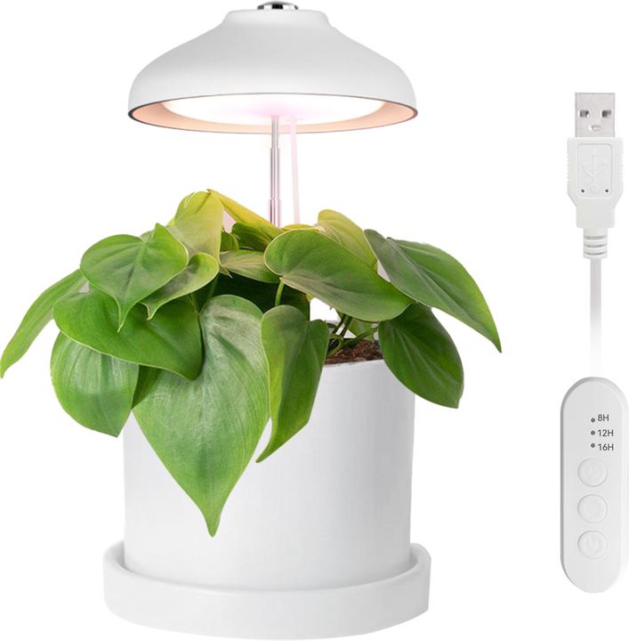 Enne Interior Bijou Grow Plant Light (240 lm)