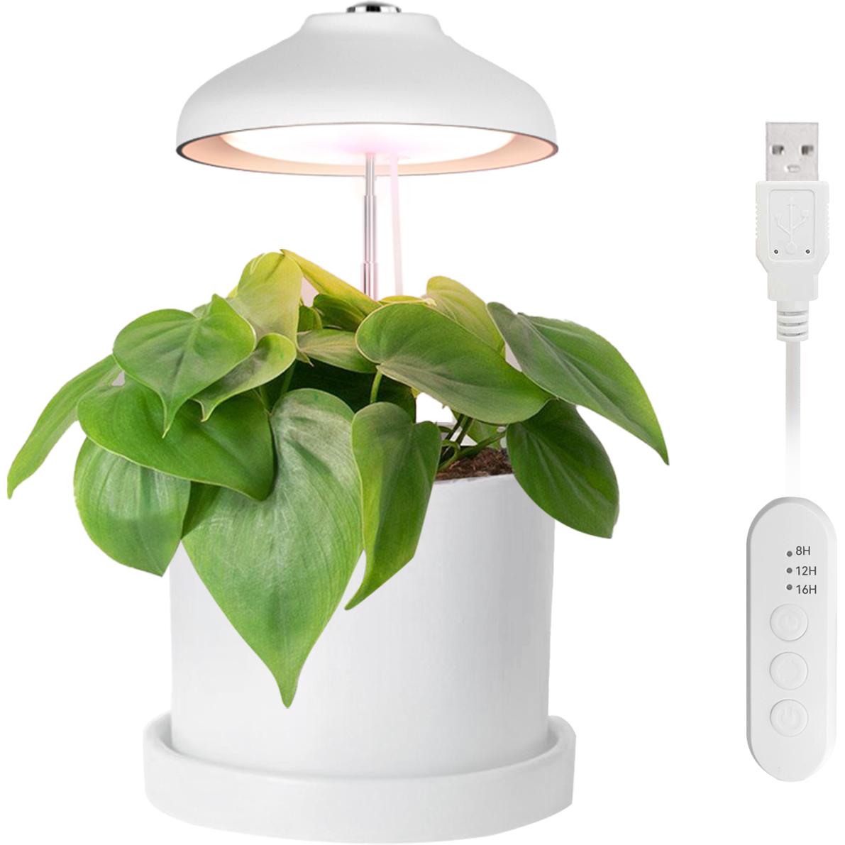 Thumbnail - Enne Interior, Tischlampe, Bijou Grow Plant Light, USB, 5W, 240lm, white (240 lm)