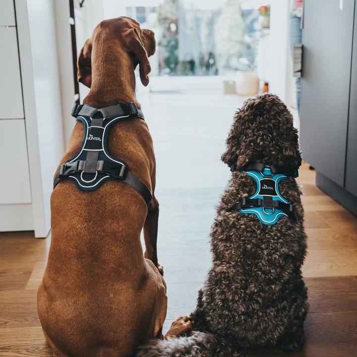 Productafbeelding Hunter Divo servies (L, Hond, Algemeen)