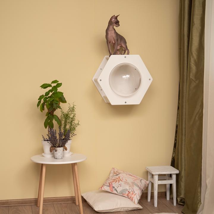Produktbild Wowhelperco Sechseck mit Acrylfenster (Weiss)